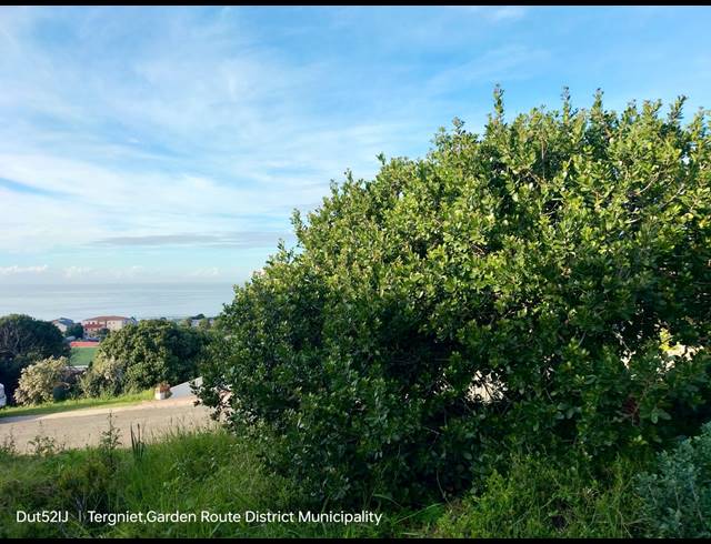 708M² VACANT LAND FOR SALE IN TERGNIET